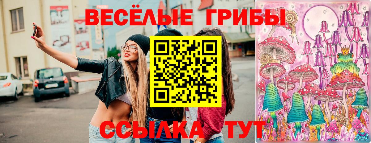 Псилоцибиновые грибы Psilocybe Люберцы