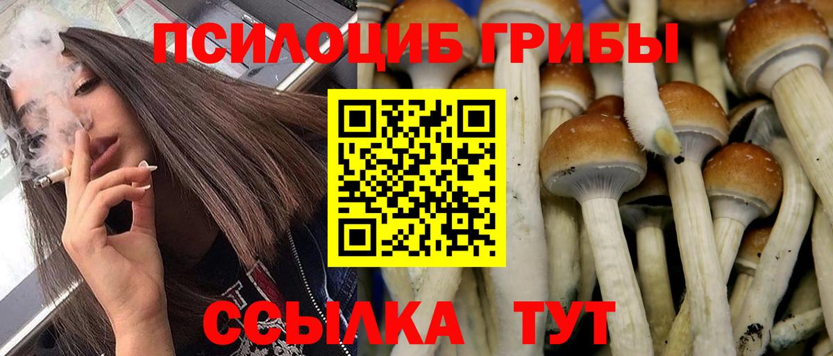 Люберцы  цена наркотик  Вход с VPN  Галлюциногенные грибы Cubensis 